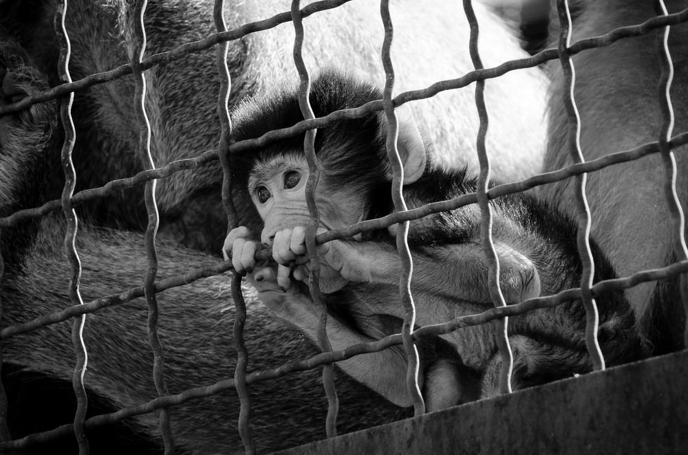 Взгляд на свободу