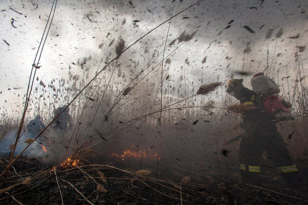 Побеждая огонь