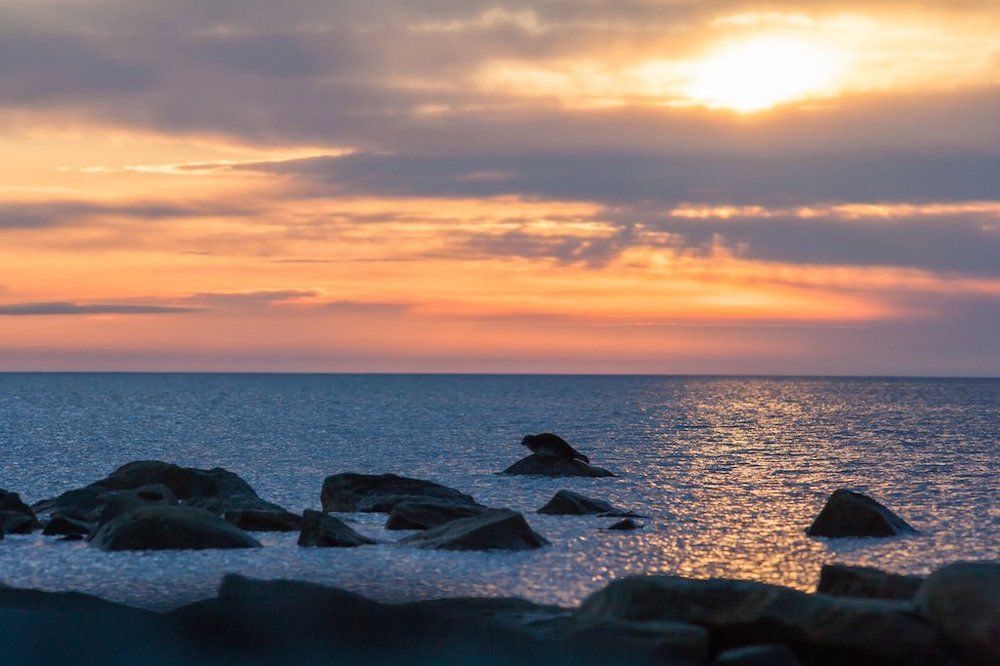 Планкинг по-беломорски