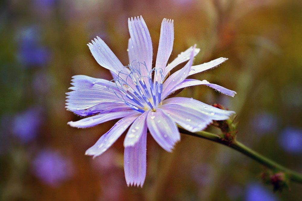 Photograph by Игорь