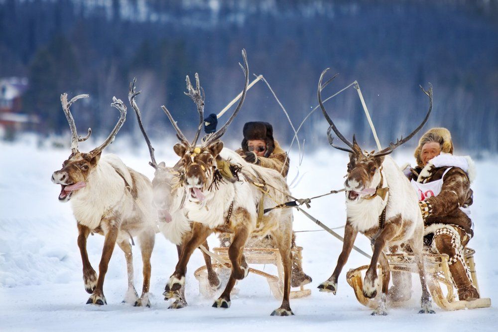 Мы помчимся утром ранним...- 2.