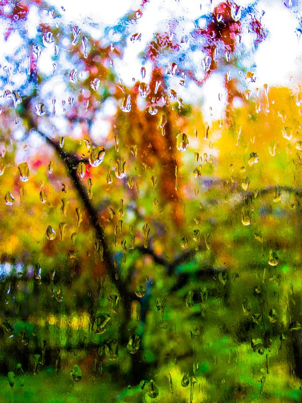 Олег Горбунов, Russia