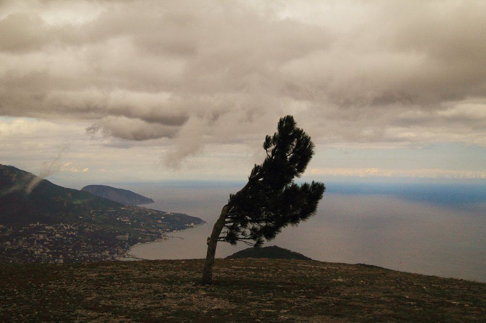 Никогда не сдавайся