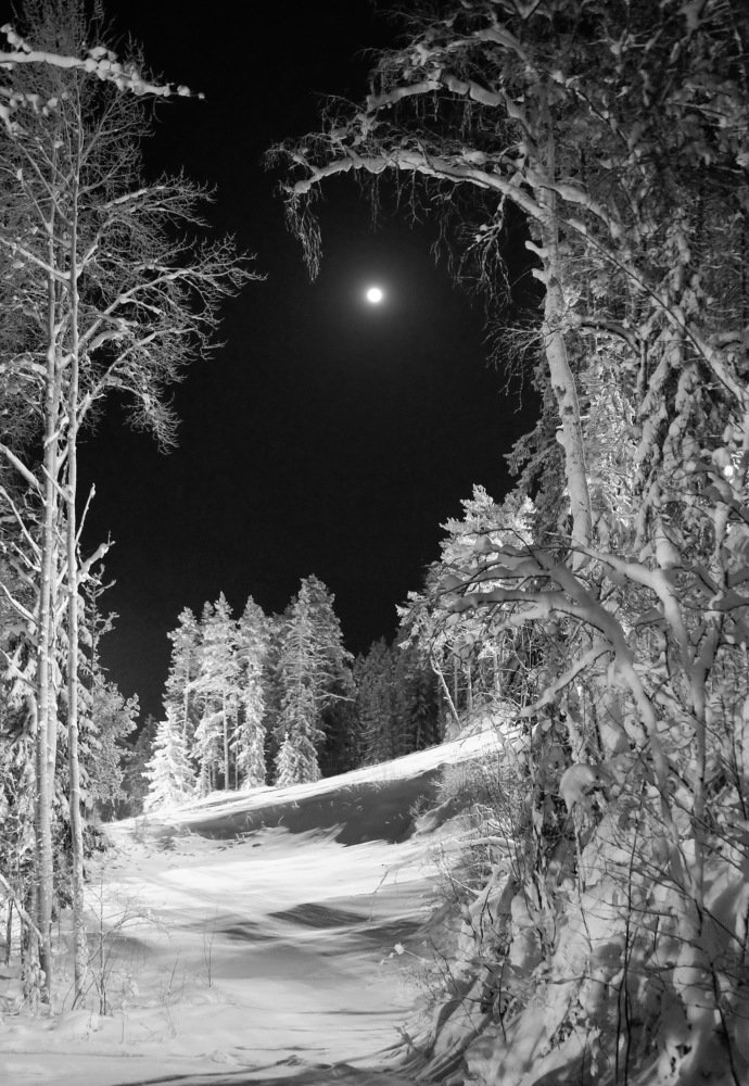 Берендеев лес