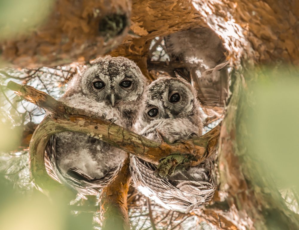 Какие проблемы чувак?