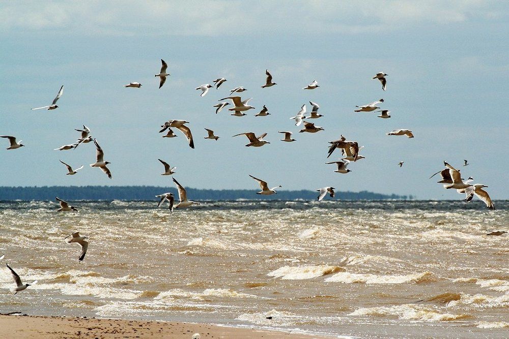 Ветру навстречу.