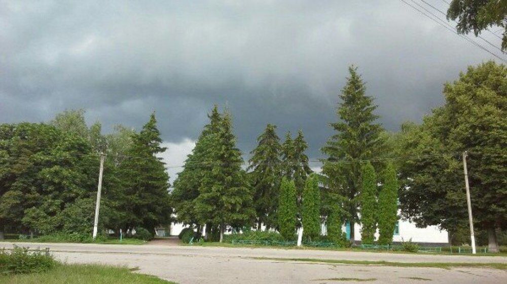 Перед июльским дождем.