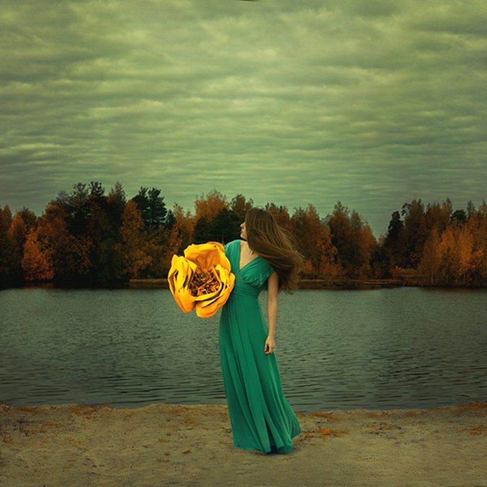 Метафора жизни