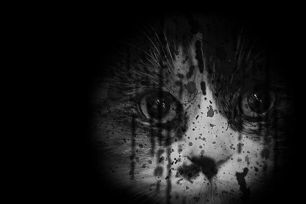 Узник замка ИФ