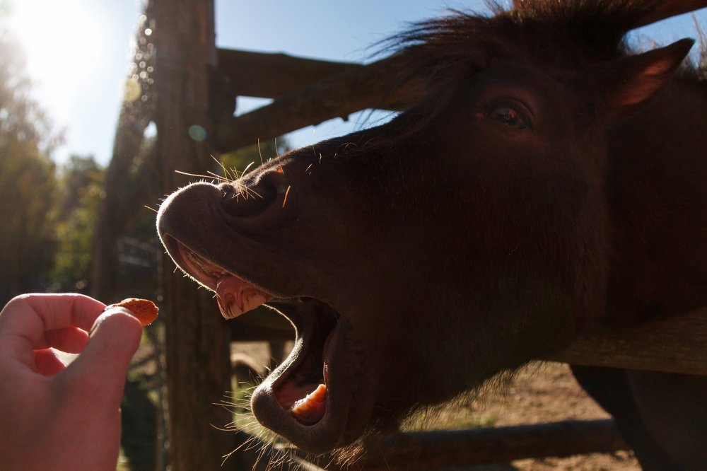 Photograph by Владимир Семёнов
