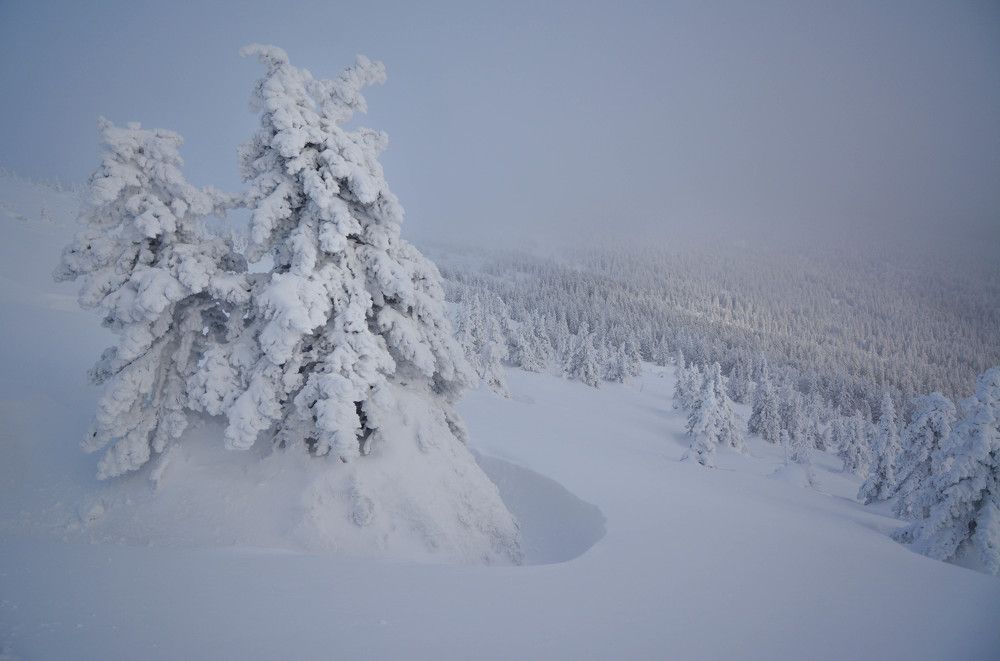Не бойся, я с тобой!