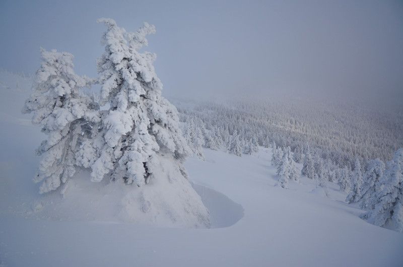 Olga Kolosova, Russia