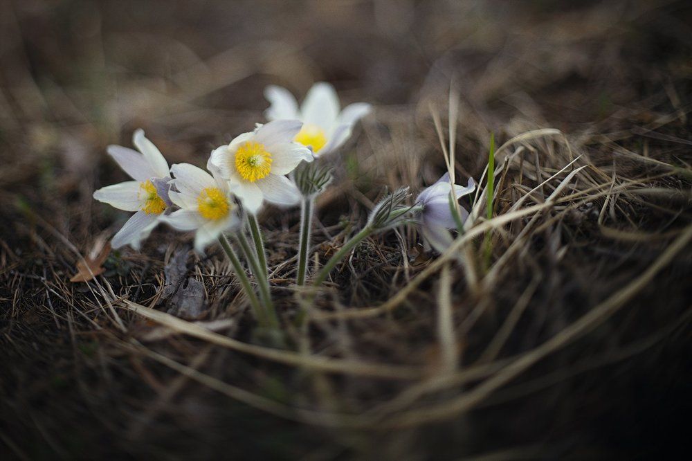 Photograph by Евгений Салиенко