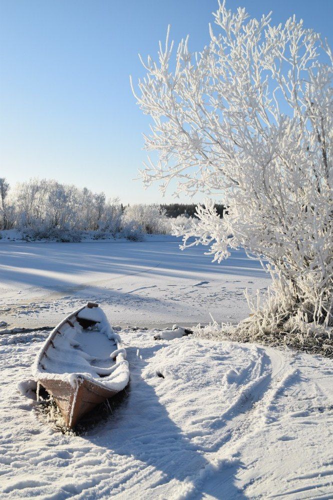морозное утро