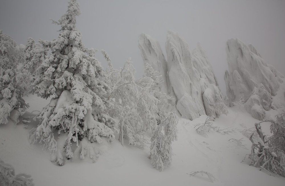 Черно - белая зима