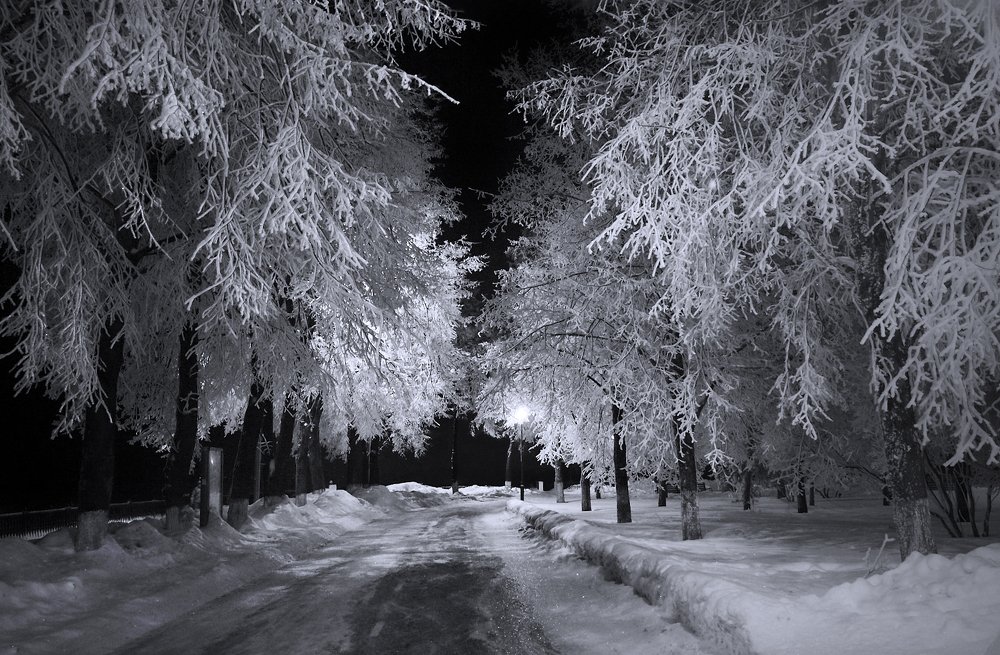 Ночной Ярославль