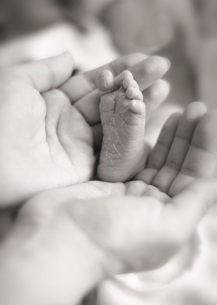 Новая жизнь