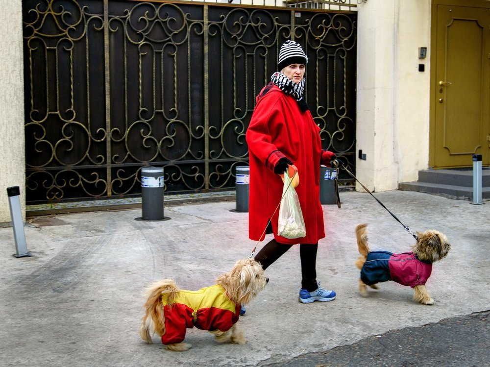 Дама с собачками