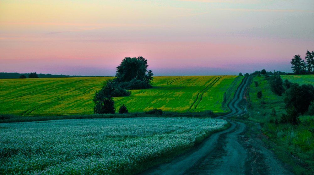 Путь-дорожка полевая