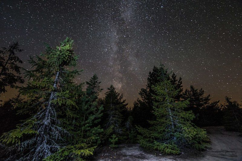 Свиридов Виктор, Russia