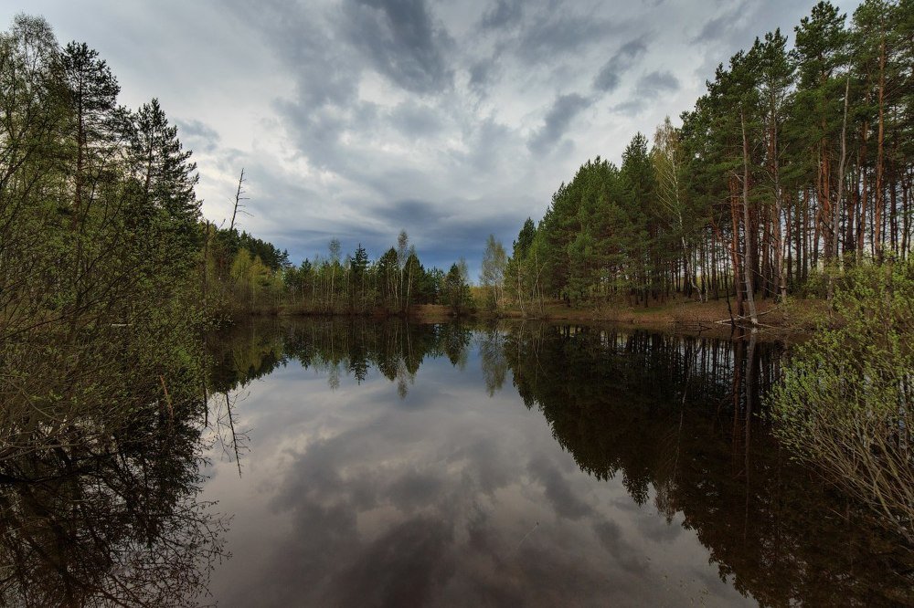 Тихий вечер