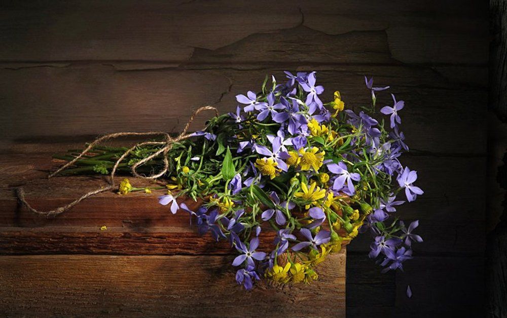 Полевые цветы