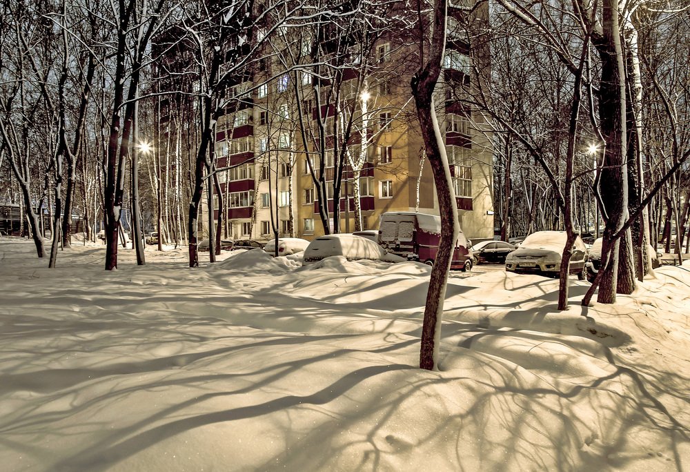 Снег и тени во дворе.