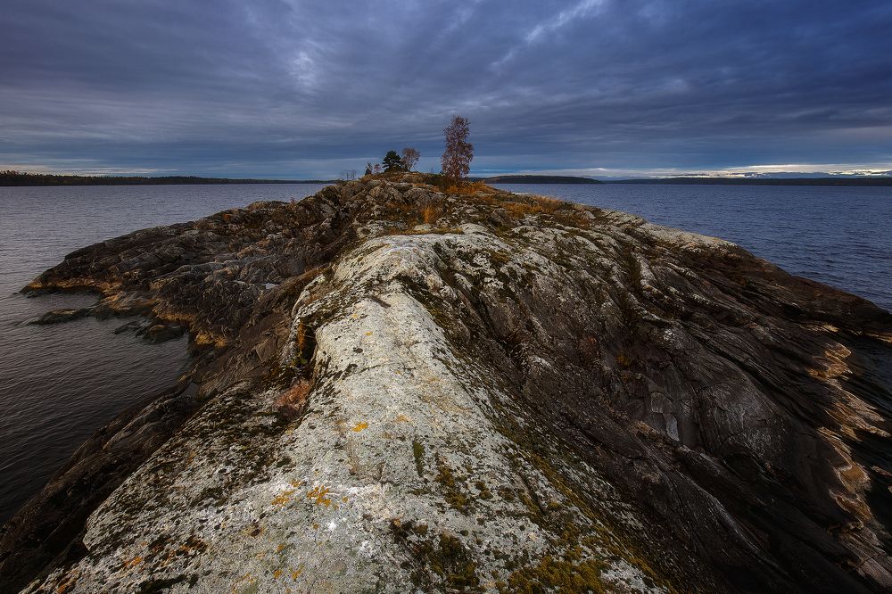 Из глубины...