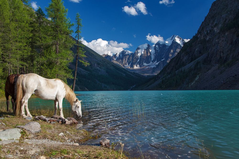 Нижнее Шавлинское озеро