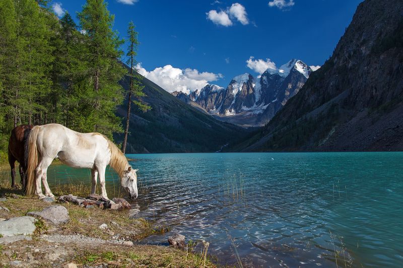 Roman Vorobyev, Russia