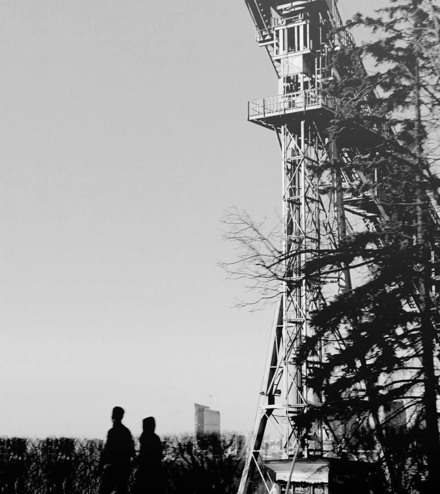 Photograph by Светлана Потапова
