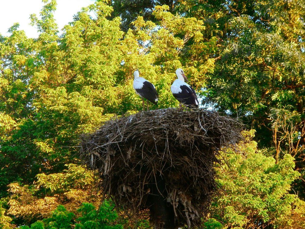 Photograph by Ksenia026