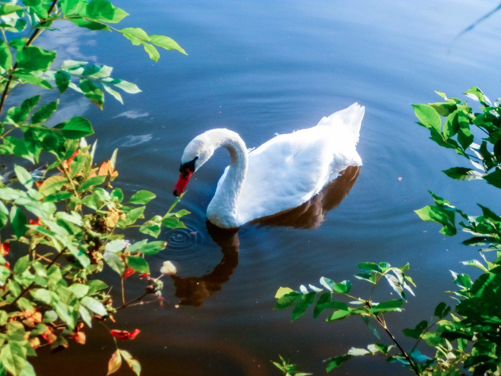 Photograph by Ksenia026