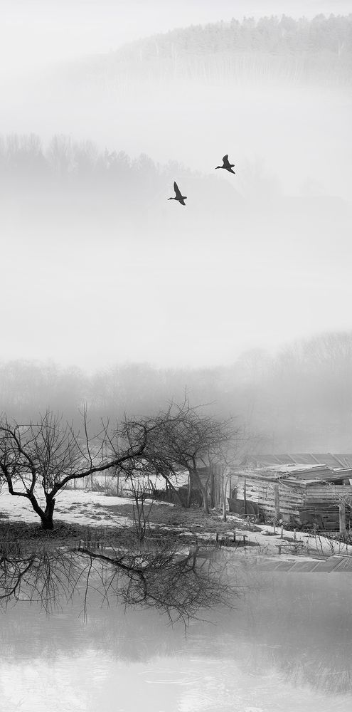 Photograph by Анна Кудрявцева