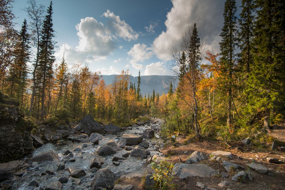 Снова Рисйок