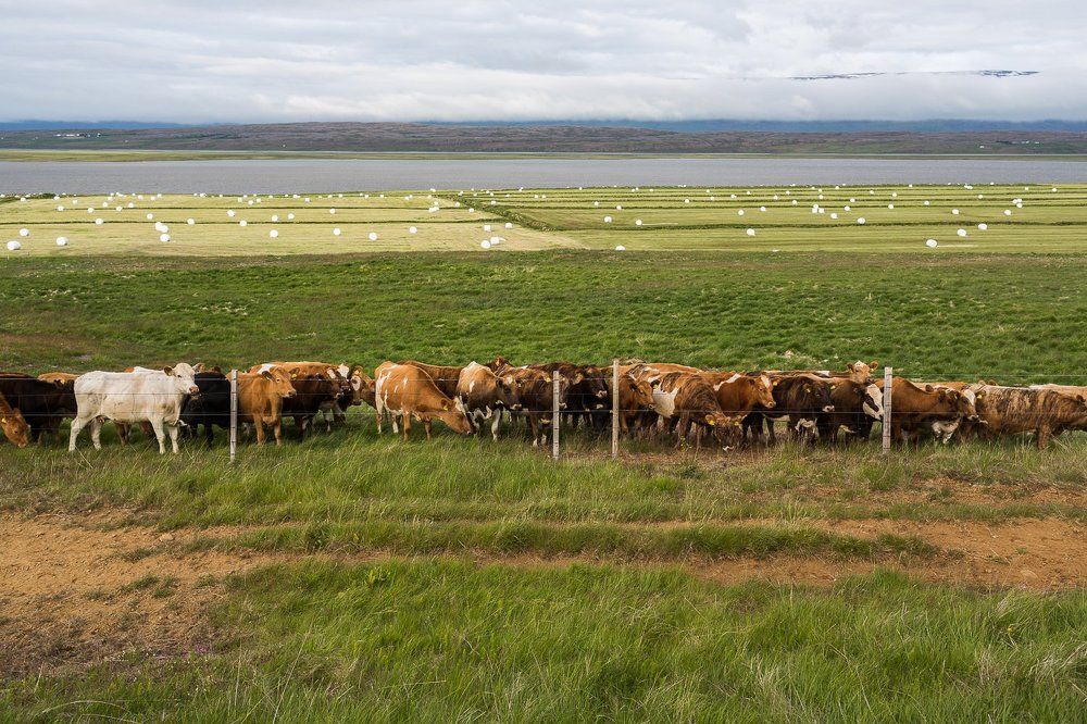 В гармонии