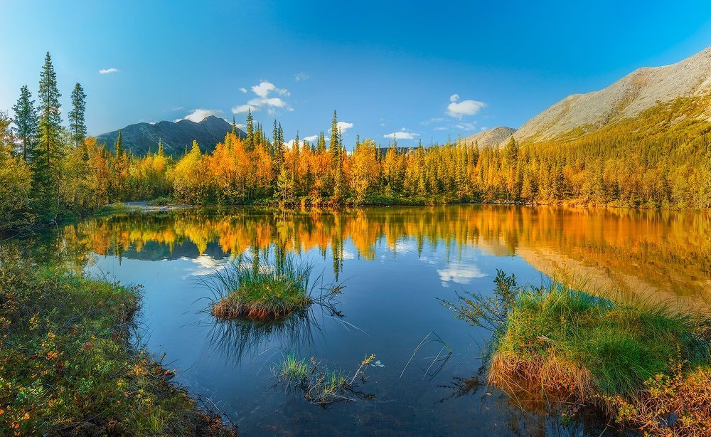 Золотая осень в Хибинах.