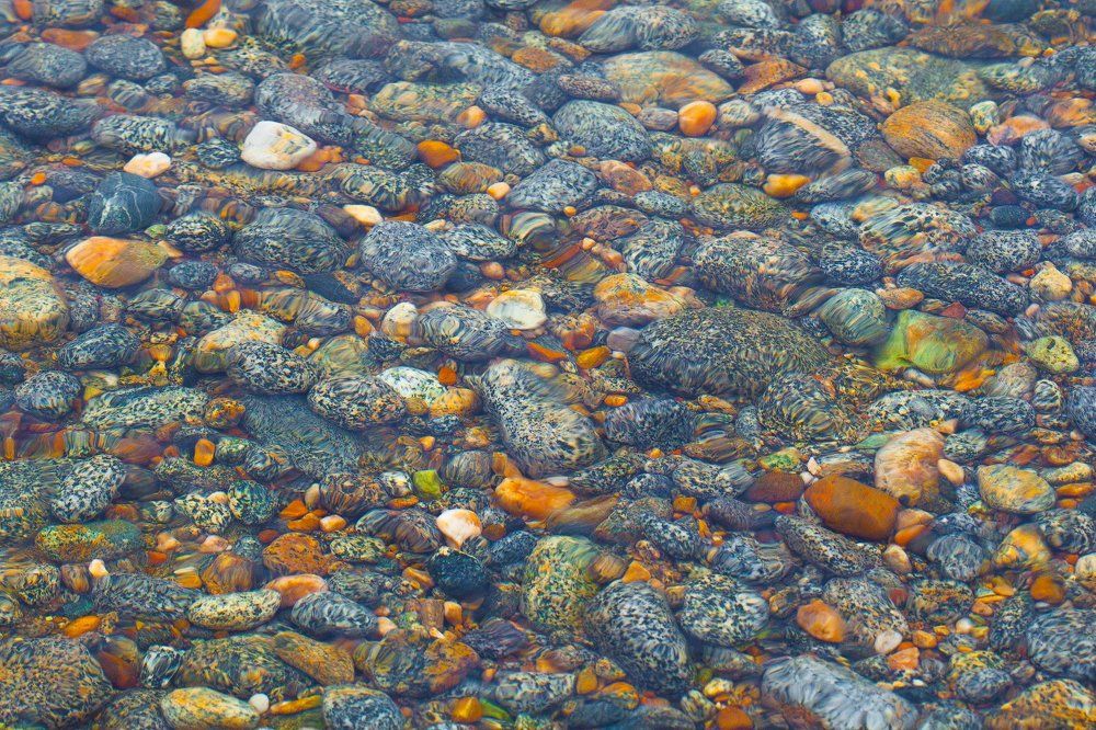 О чистоте воды Байкала