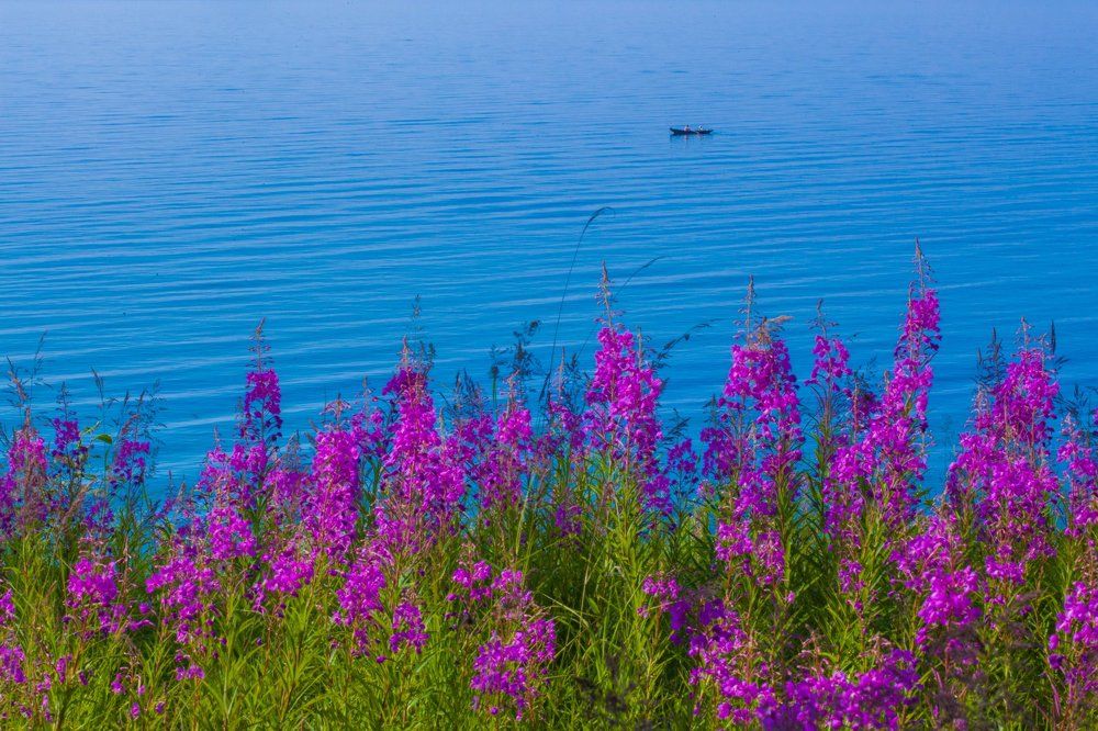 Берег Байкала