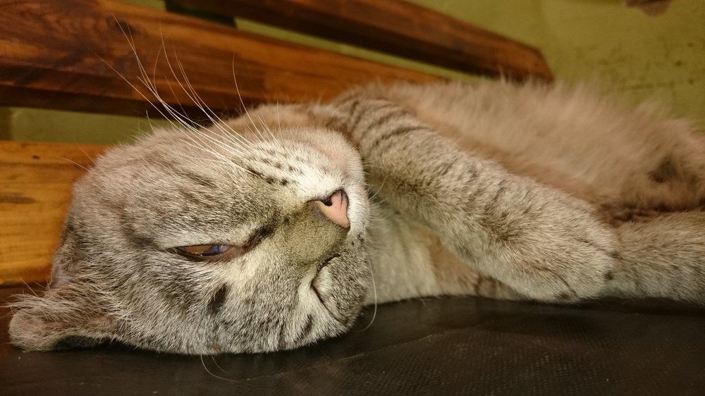 Photograph by Валентин