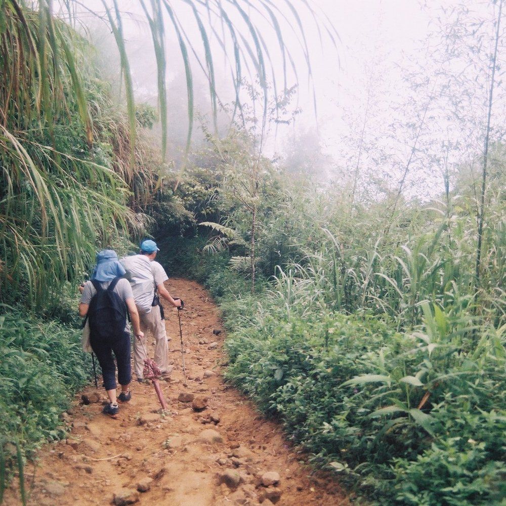 Walking in the nature