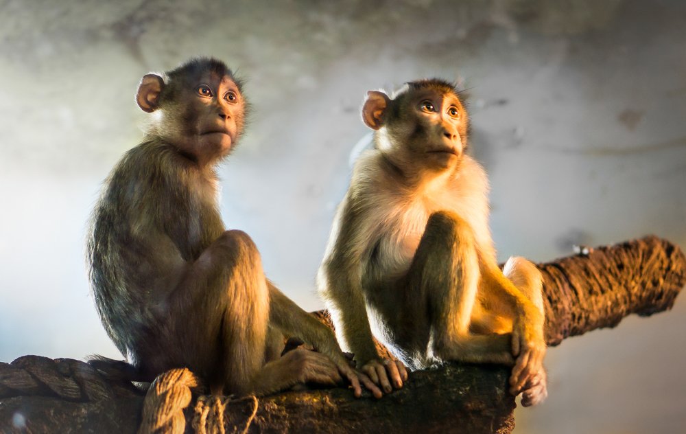 Ближе... еще ближе...