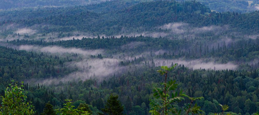 Photograph by Елена Титенская