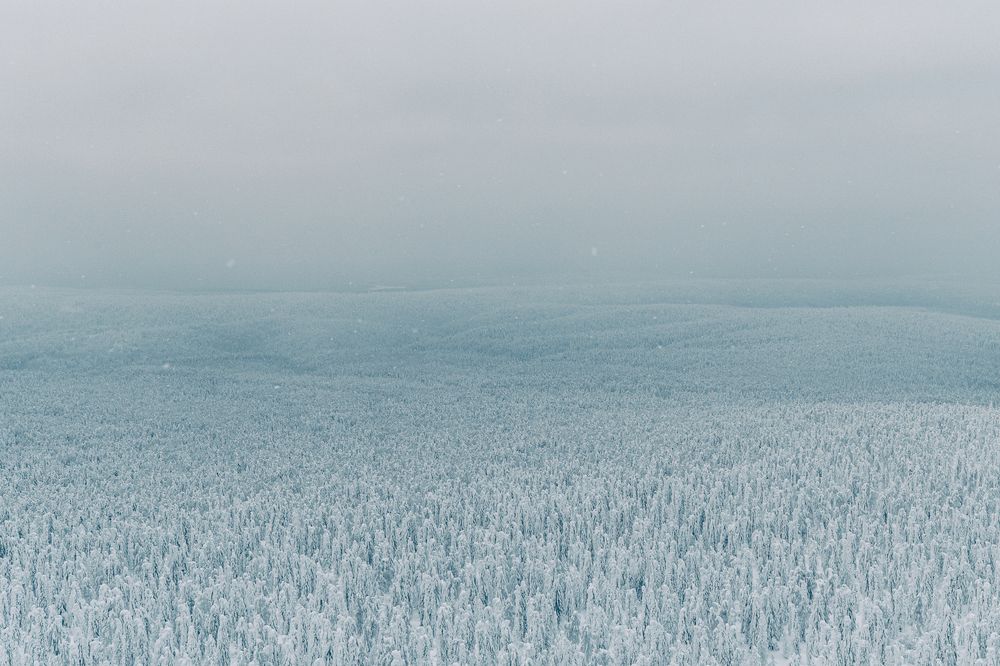 Photograph by Елена Титенская