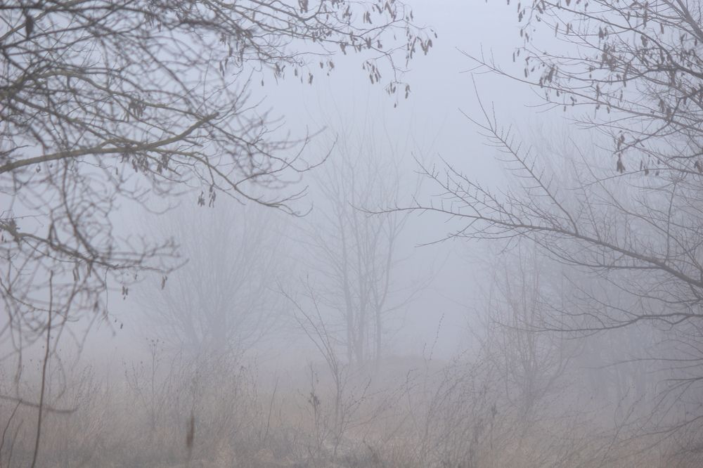 Photograph by Ирина Дмитриенко