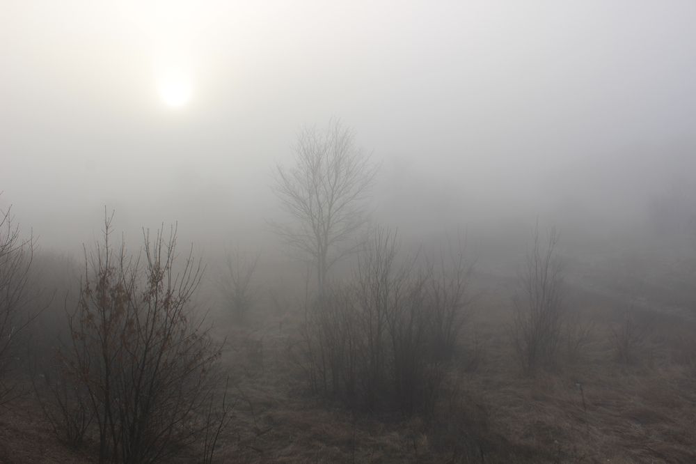 Photograph by Ирина Дмитриенко