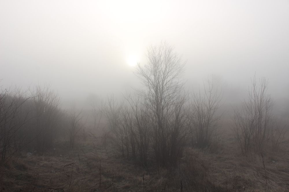 Photograph by Ирина Дмитриенко