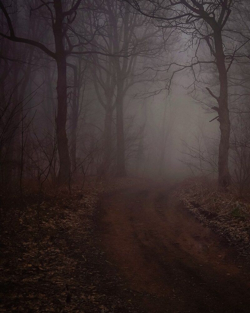 Photograph by Владимир Кульбит