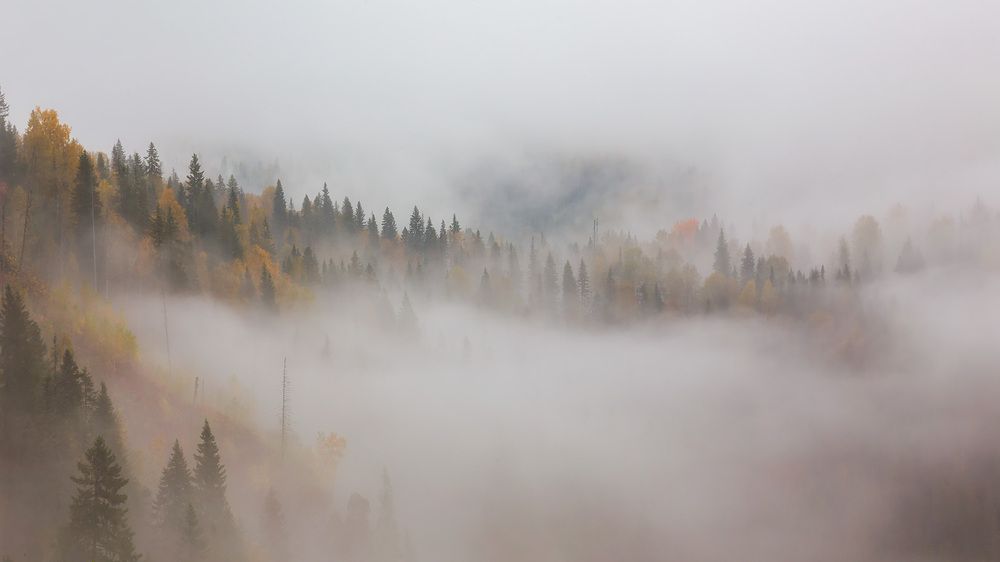 Photograph by Станислав Аристов