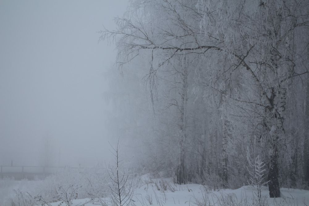 Photograph by Kim Natasha